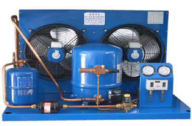 Maneurop Cold Room Condensing Unit